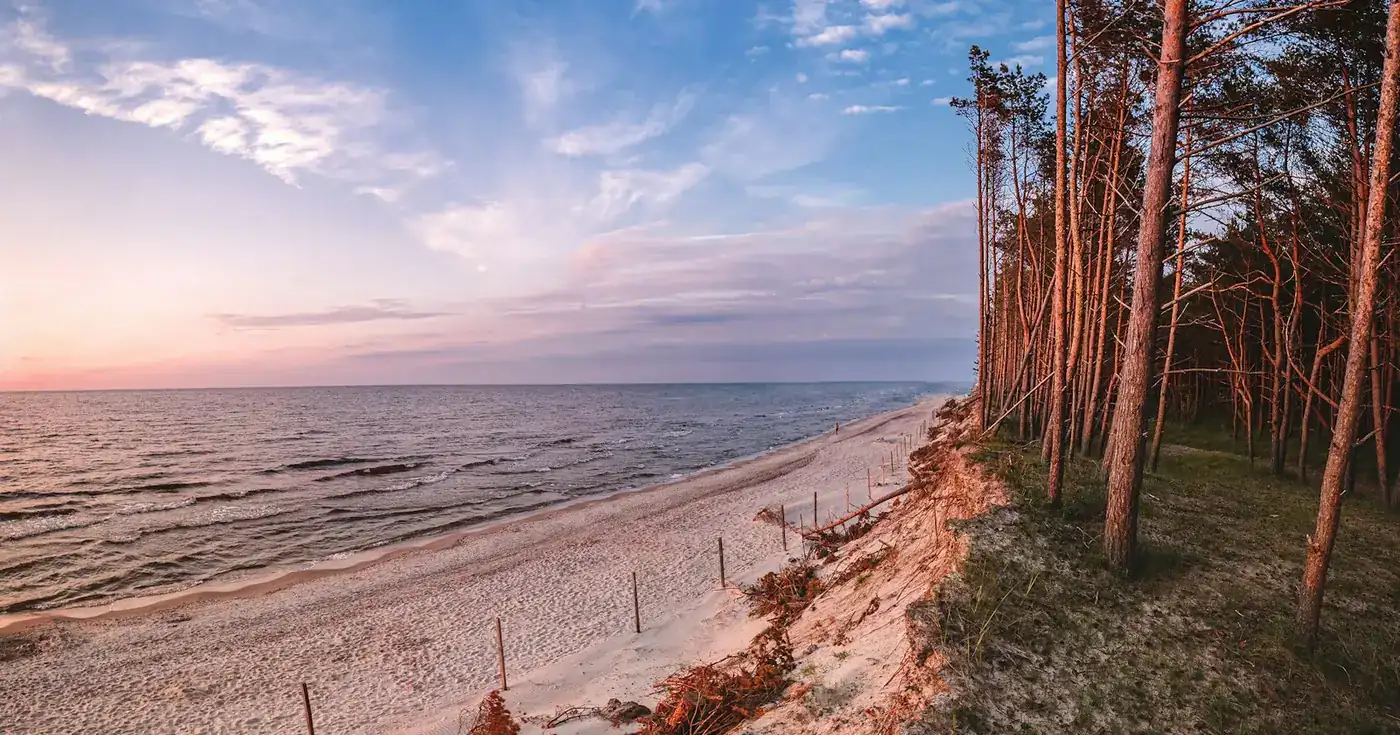 Ostseestrand mit Kiefern auf der Düne